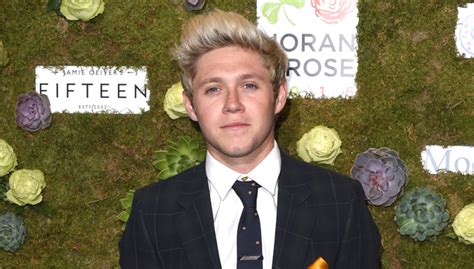 Did Niall Horan Dye His Hair Blonde Again Fans Think So See Pic
