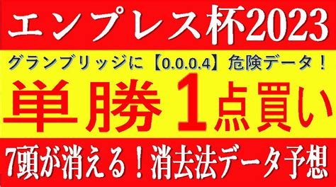 エンプレス杯2023（川崎競馬）消去法予想｜唯一の勝ち馬候補からの馬券 ｜ わがまま♪新馬券生活～ふくたんの競馬予想～