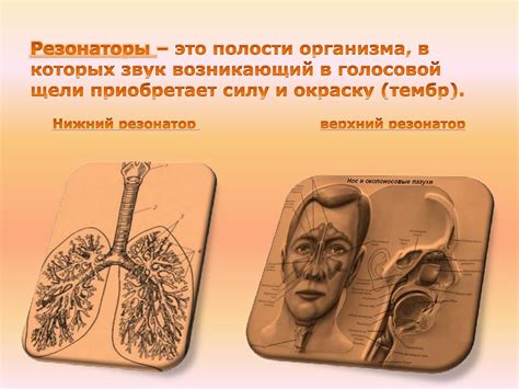 Механизм звукообразования в процессе пения - презентация онлайн