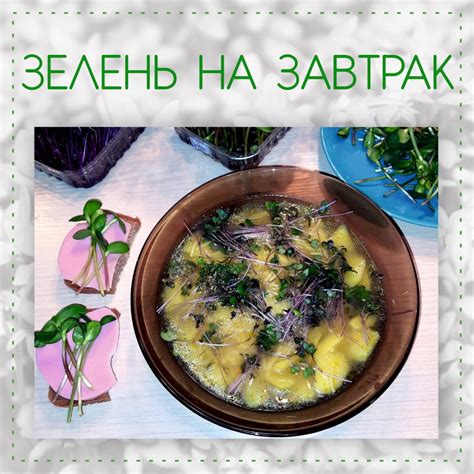 Микрозелень GreenPapa Петрозаводск - Завтрак бывает разный, иногда и ...