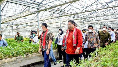 NUSABALI Menko Airlangga Reforestrasi Dorong Akselerasi