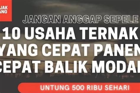 10 Ide Bisnis Ternak Cepat Balik Modal Panen Cepat Omzetnya Diluar