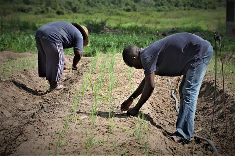 Rdc 10 Millions Usd Pour Créer Un Centre Pilote Des Techniques