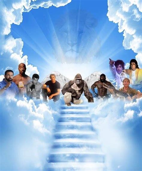 From Outrage to Dicks Out to Dead Celebrity: The Evolution of the Great ...