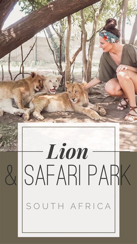 Lion & Safari Park | Lion safari, Safari park, Safari