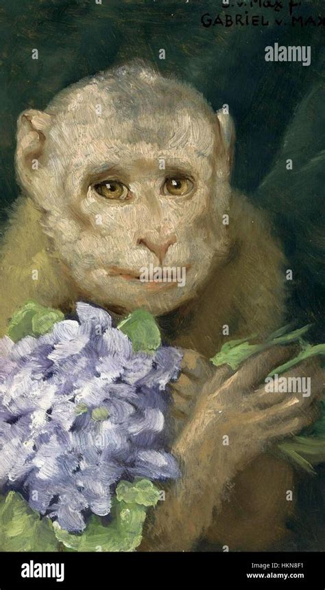 Max Monkey With Violets Stock Photo Alamy