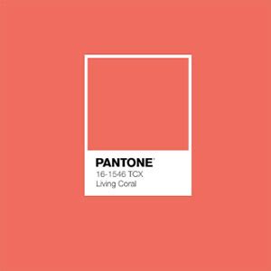 Pantone S Color Of The Year Is The Warm Mellow Living Coral Jck