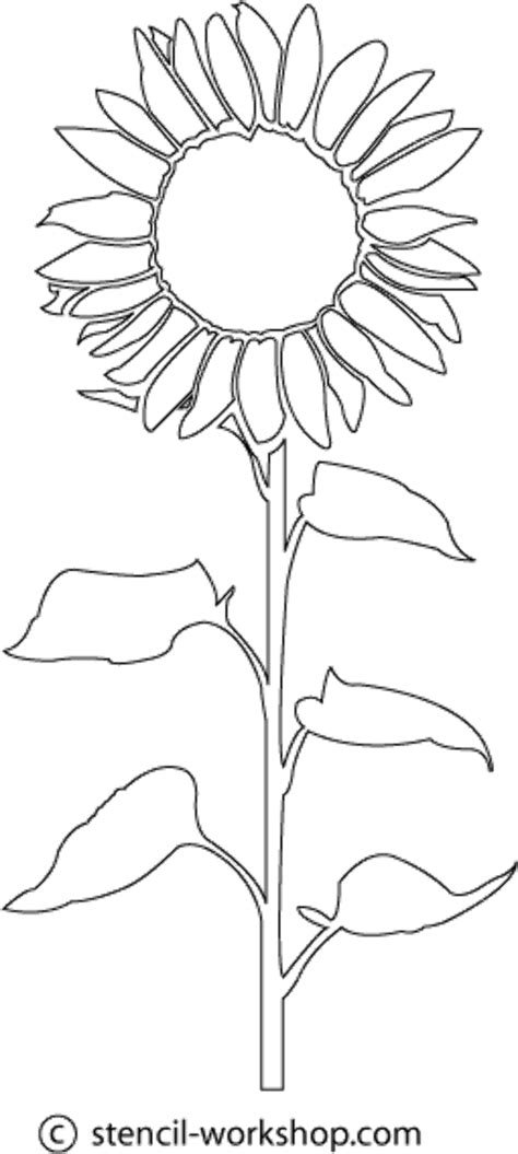 Free Svg Sunflower Wreath Svg Black And White 4773 File Include Svg