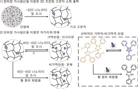 화학연 100배 더 정밀하고 5배 더 빠른 가시광선 반응 3d 프린팅 소재 개발