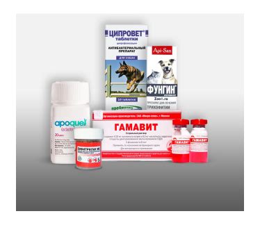 Лекарства, препараты для собак: купить в аптеке в Крыму