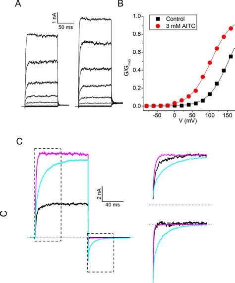 Figures And Data In Definition Of Two Agonist Types At The Mammalian