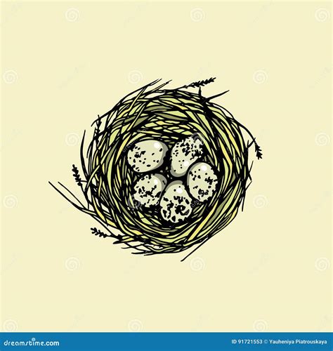 Hand Drawn Bird Nest Stock Vector Illustration Of Nest 91721553