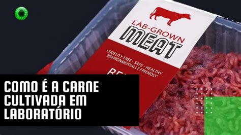 Como A Carne Cultivada Em Laborat Rio