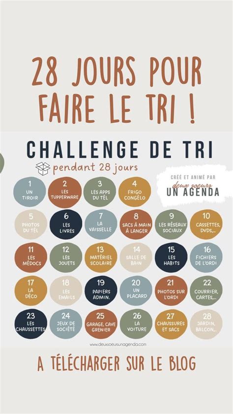 Challenge Tri De La Maison Faire Sur Jours Organisation Et