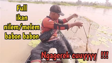 SERU Angkat Perangkap Ikan Bubu Ram Kawat Di Danau Air Keruh