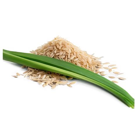 Download Rice Bran Png 31