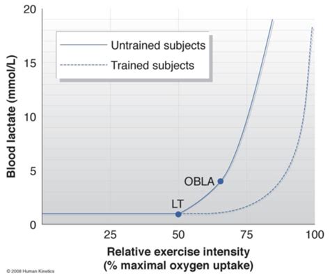 Lactate Threshold Obla Flashcards Quizlet