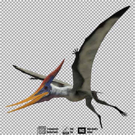 Premium PSD Pterosaur Pteranodon White Landing Pose With