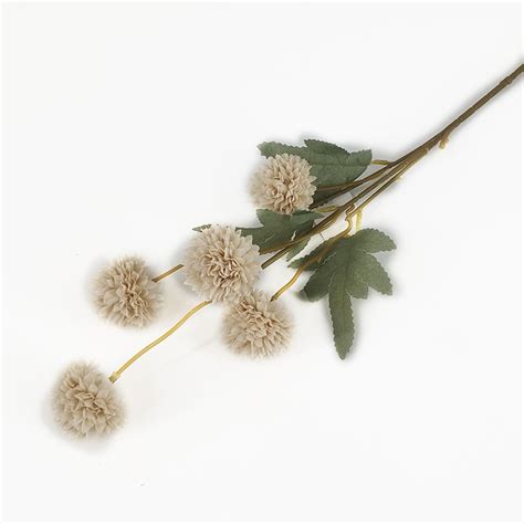 PomPom Spray X 5 Heads Nude Village Green