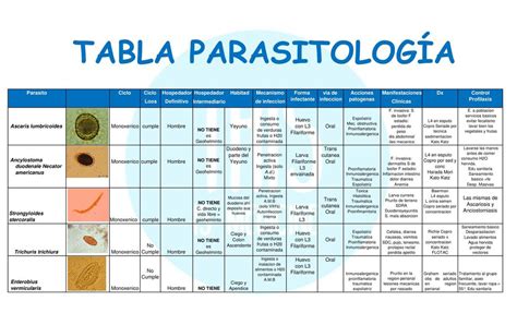 Res Menes De Parasitolog A Descarga Apuntes De Parasitolog A