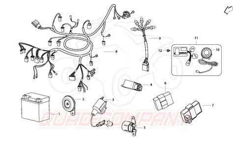 Benelli X49 DD Naked Elektrische Einrichtungen Ersatzteile