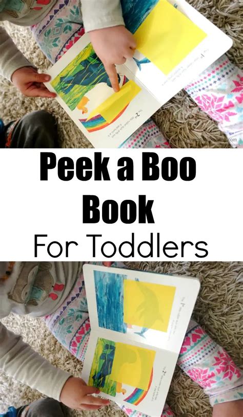 Peek a Boo Book For toddlers