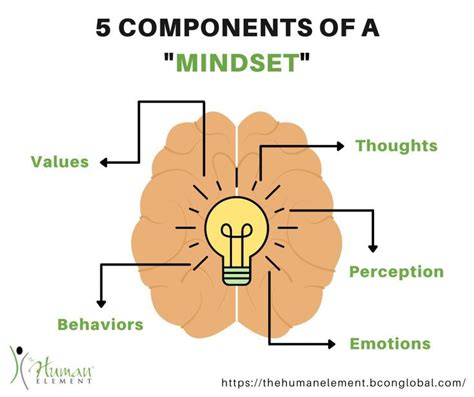 Components Of A Mindset