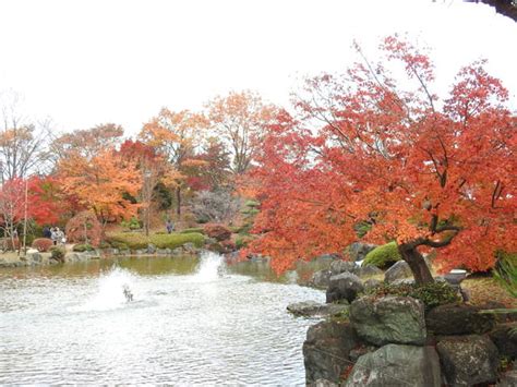 桜山公園の紅葉 2 By 大空大地 （id：8240631） 写真共有サイトphotohito