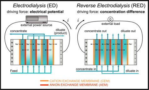 Principle Of Electrodialysis Ed And Reverse Electrodialysis Red