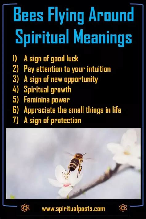 Spiritual Meanings Of Bees Flying Around You Land Or Follow