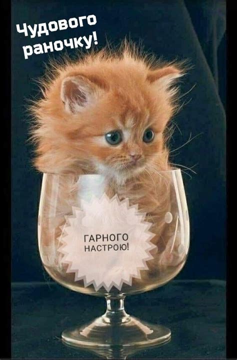 Pin on Доброго раночку | Animals, Good morning, Holidays and events