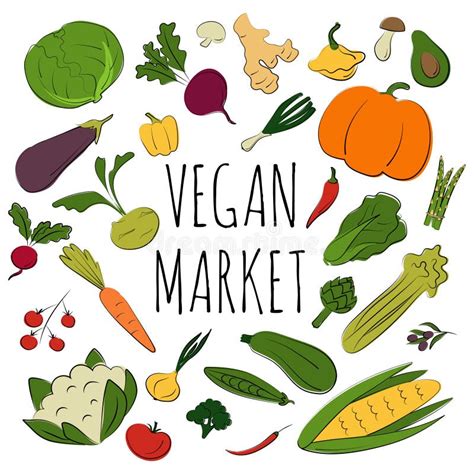 Vegetable Set Vector Flat Illustration Stock Vector Illustration Of