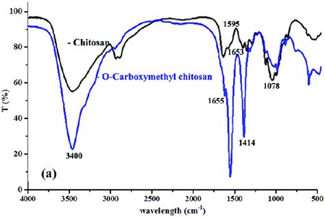 Ft Ir Spectra For Chitosan And Its Carboxymethyl Derivative O Cmc