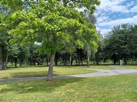 Aire De Service Pour Camping Cars Decize La Bourgogne