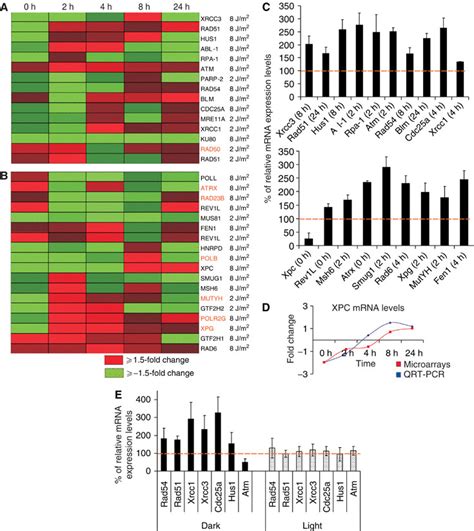 Cpds Provoke The Transcriptional Response Of Genes Associated With