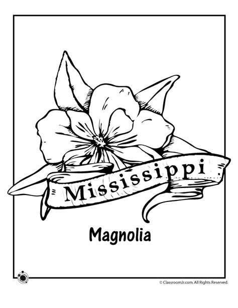 Mississippi State Flower Coloring Page Woo Jr Kids Activities