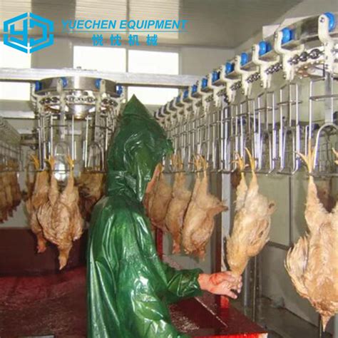 Saudi Arabia Halal Chicken Butcher Equipment Poultry Abattoir