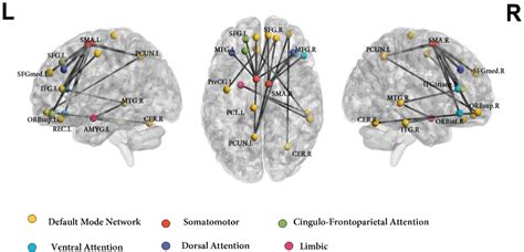 Frontiers Intrinsic Functional Connectivity In The Default Mode