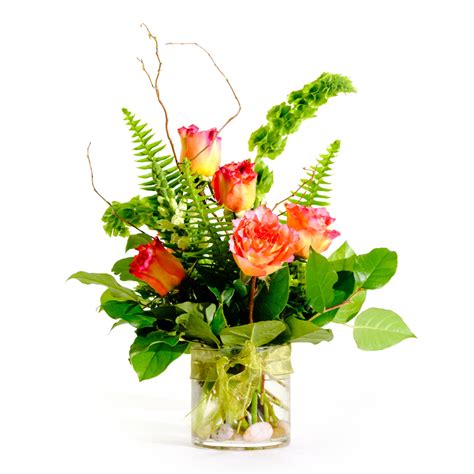 Low Half Dozen Roses Twigs