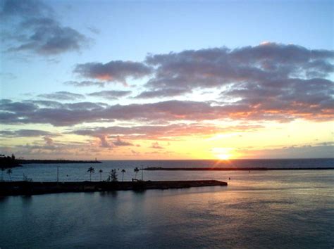 Explore Hawaii Norwegian Cruise Line - Brie Brie Blooms