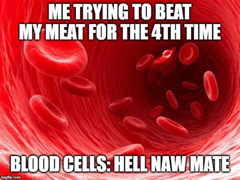 Blood Cells Imgflip