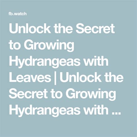 Unlock The Secret To Growing Hydrangeas With Leaves