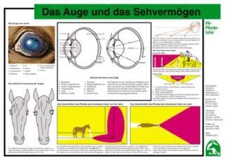 Lehr Pferdetafel A4 Für Pferde giftige Pflanzen