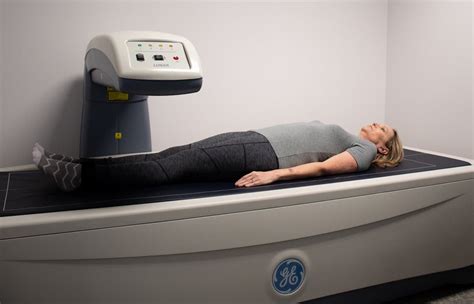 Analyzing Your Body Composition With The Dexa Scan Test An Honest