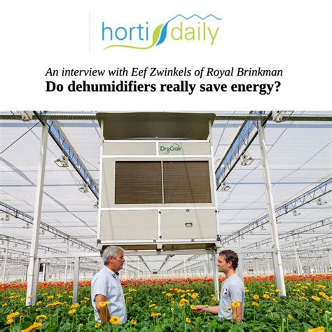 How To Prevent Downy Mildew Without Fungicides Drygair Dehumidifiers