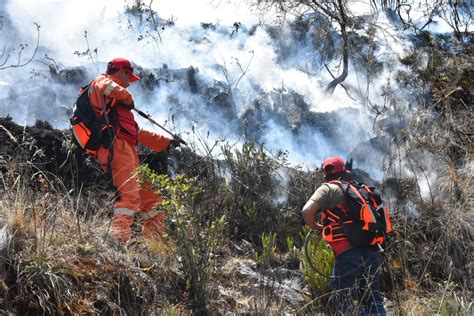 Calentamiento Global Podría Degradar Bosque Amazónico Y Aumentar Los