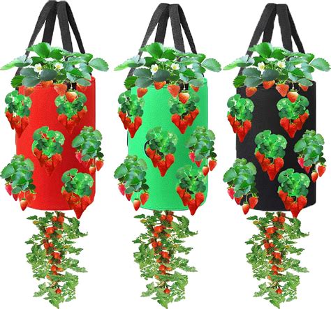 Amazon Miewslan 3 Pieces Upside Down Tomato Planter 3 Gallons