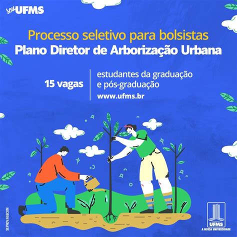 Projeto Para Revisão Do Plano Diretor De Arborização Urbana Oferece 15