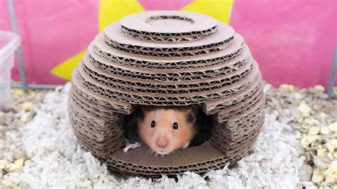 Hamster House Diy