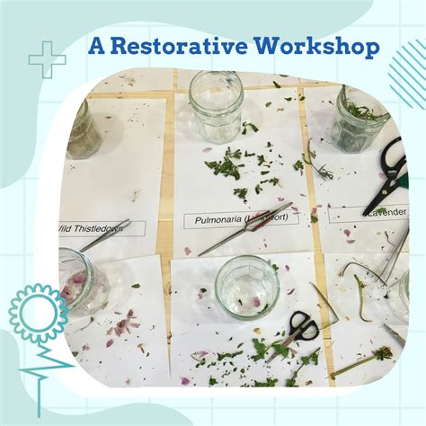 A Restorative Workshop Wellsbourne Healthcare Community Interest Company